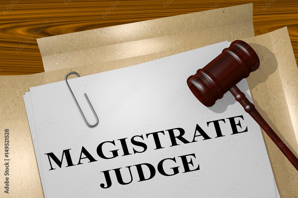Magistrate Judge concept