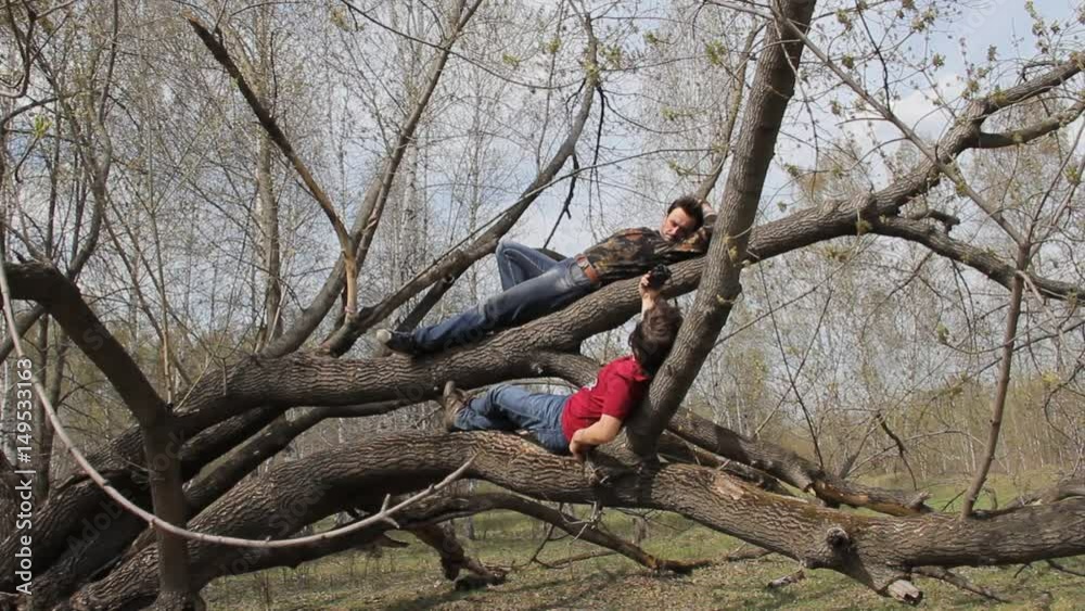 tourists rest on the branches of the great