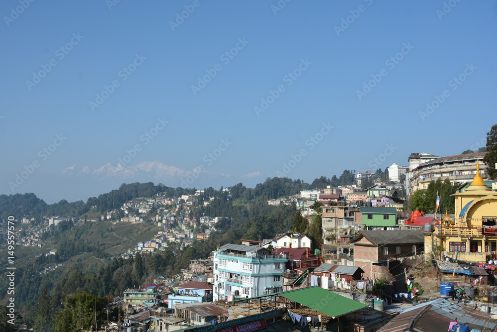 India Darjeeling