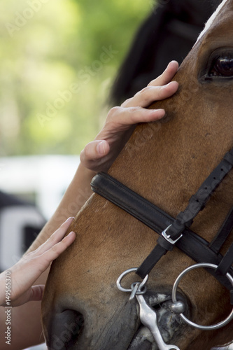 Fototapeta Naklejka Na Ścianę i Meble -  Caress me