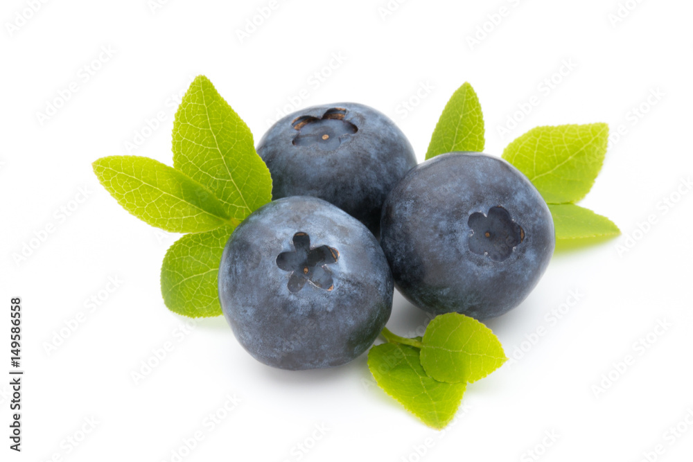 Fresh blueberries on a white background. Fresh blueberries on a white background.