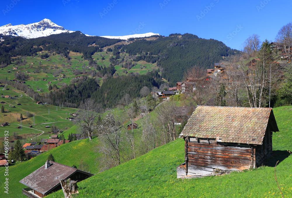 Grindelwald Village, Berner Oberland, Switzerland, Europe