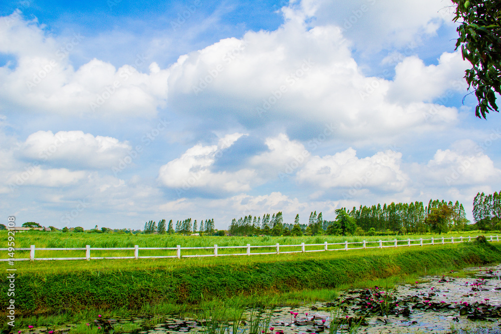 Fototapeta premium THAILAND - April 16, 2017:Blue sky background with tiny clouds