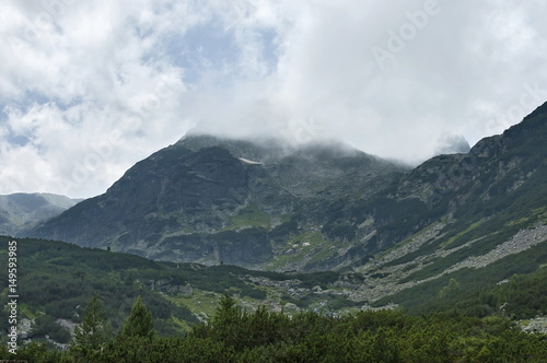 Mountain overgrown with coniferous forest and glade toward Maliovitza peak in Rila mountain, Bulgaria