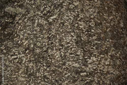 Stone Rock texture or background