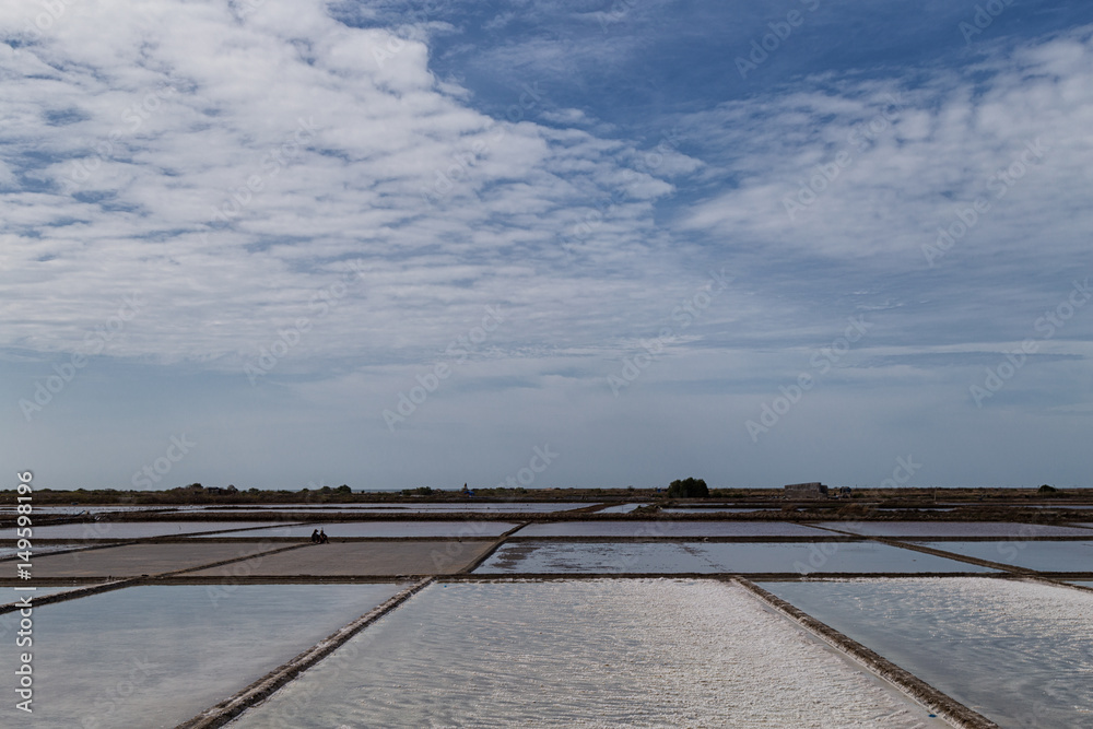 Salt fields Vietnam