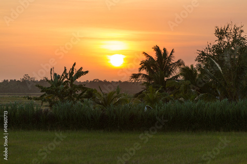 Mekong delta sunset