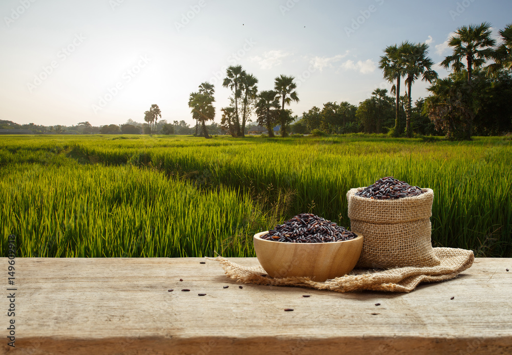 Obraz premium Rice berry in bowl and sack on wooden table with the rice field background