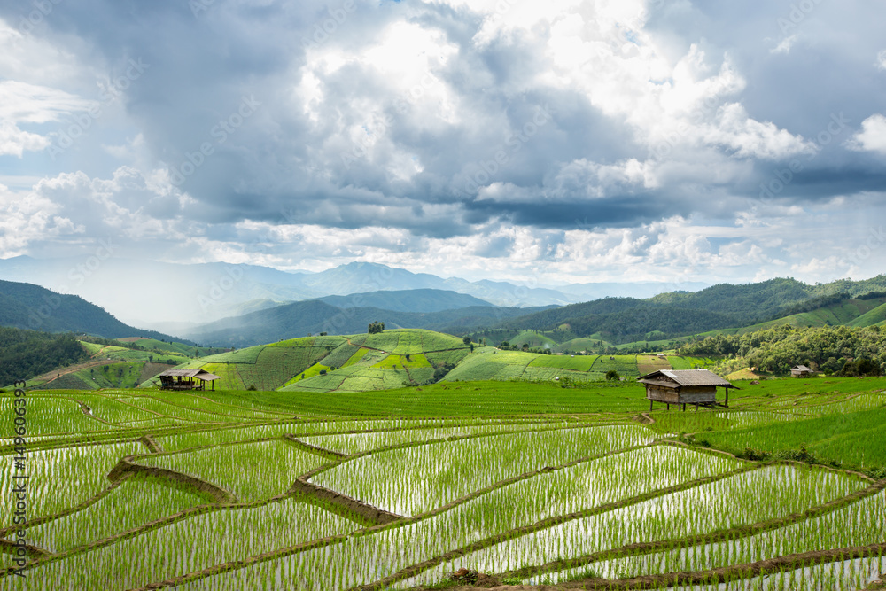 Rice fields on terraced of Pa Pong Pieng, Mae Chaem, Chiang Mai, Thailand - Vibrant color effect