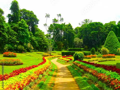 Cuadro en lienzo Royal Botanical garden Peradeniya. Sri Lanka
