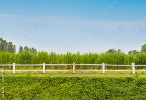 White fence with green grass field in farm background