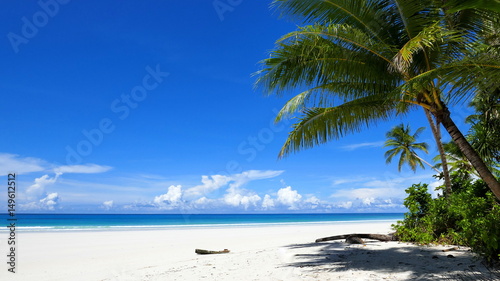 weiter weißer Sandstrand am Meer mit Palmen auf den Molukken-Inseln