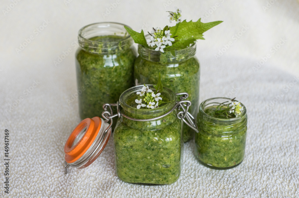 selbstgemachtes Pesto aus Knoblauchrauke
