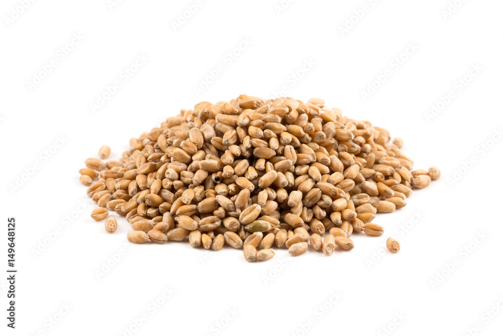 Wheat grain on white Wheat grain on white