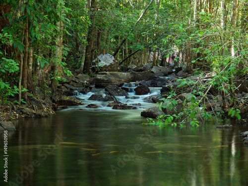 Florence Creek  Litchfield National Park  Australia