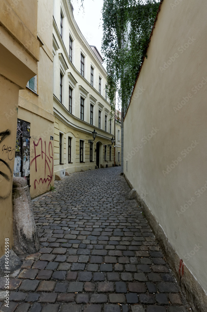 Obraz premium Numerous windows in the building