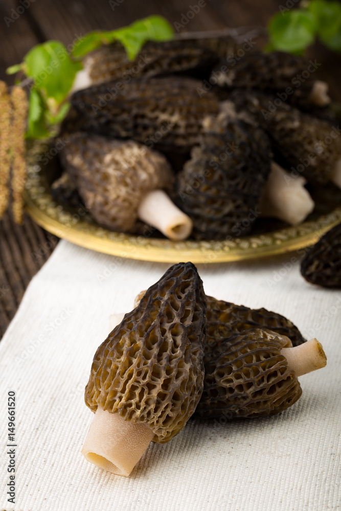 Fresh morchella conica, seasonal mushrooms.