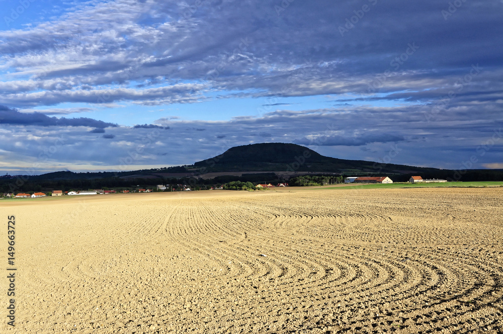 Naklejka premium Ploughed field under bright sunlight