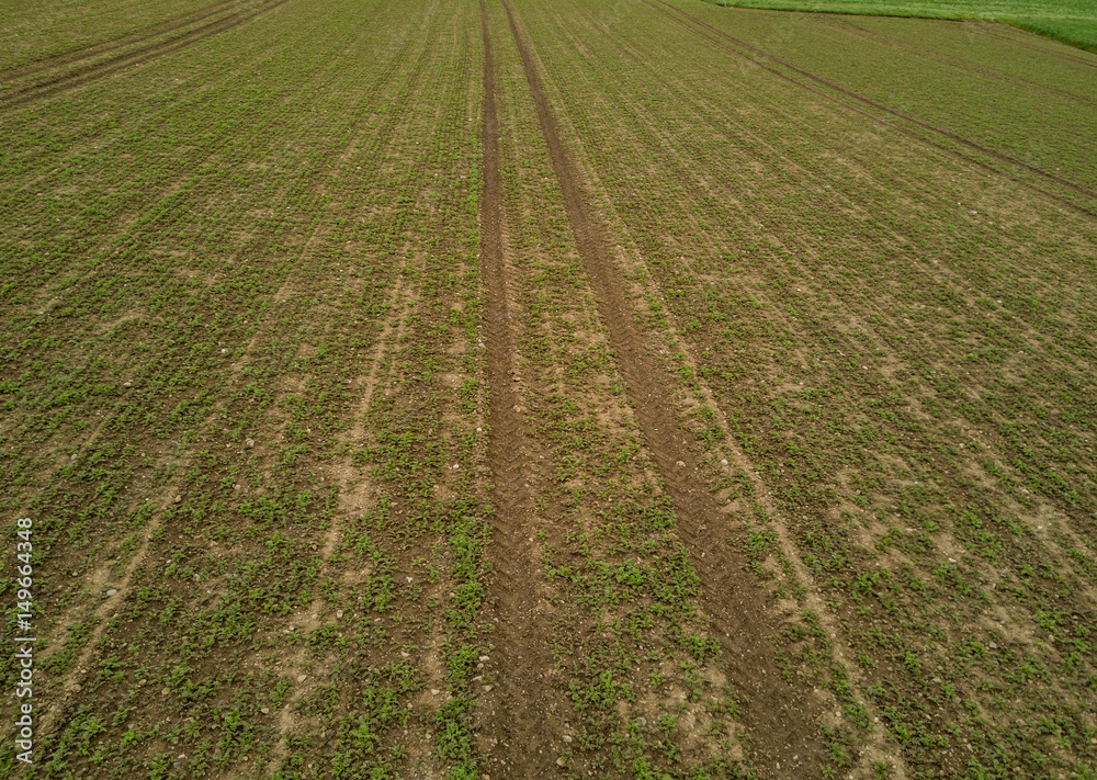 Aerial view of rows on a agricultural field Aerial view of rows on a agricultural field