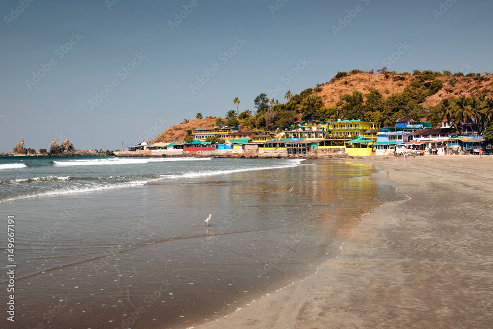 Arambol beach landscape