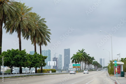 Bridge to Miami bordered by palm trees