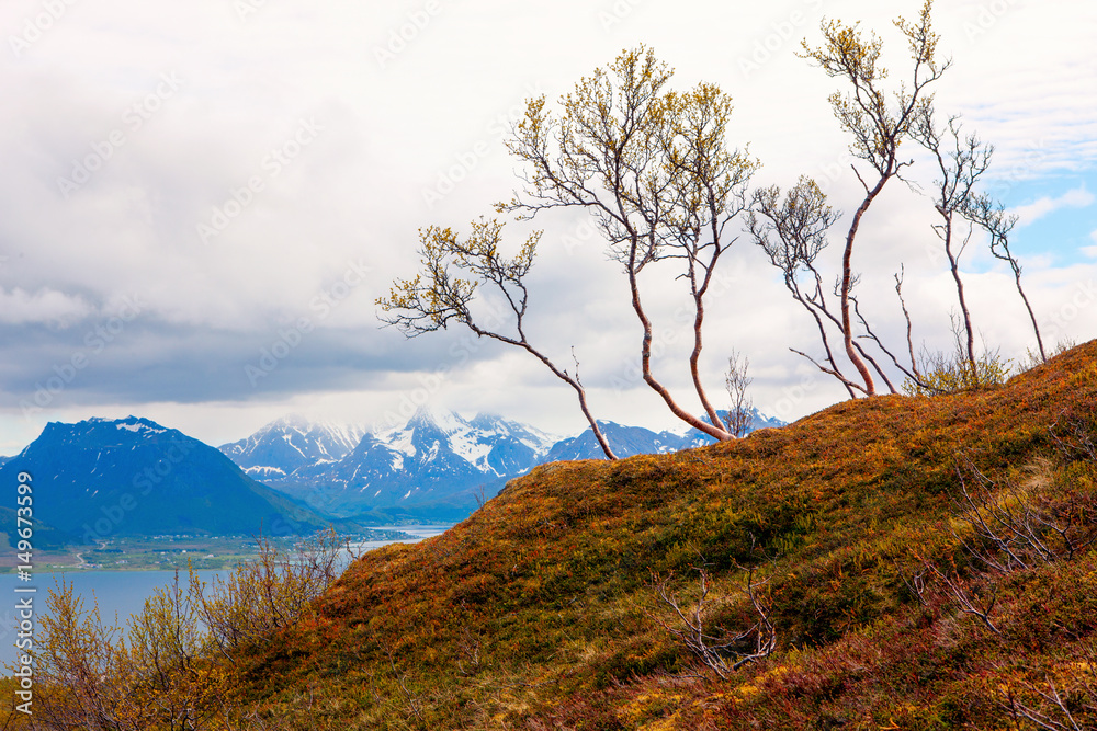 Scenic fjord coastline in the south of Norway, Europe Scenic fjord coastline in the south of Norway, Europe