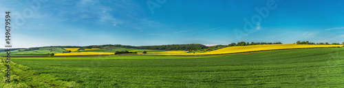 Landschaft mit Rapsfelder, Windräder Panorama