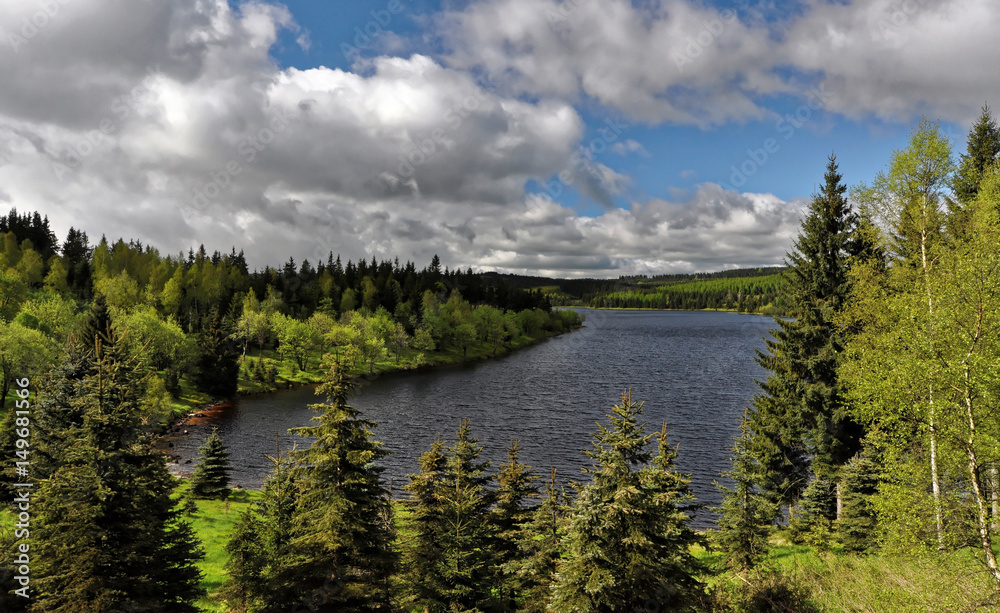 Another shot of fresh green trees on the river side