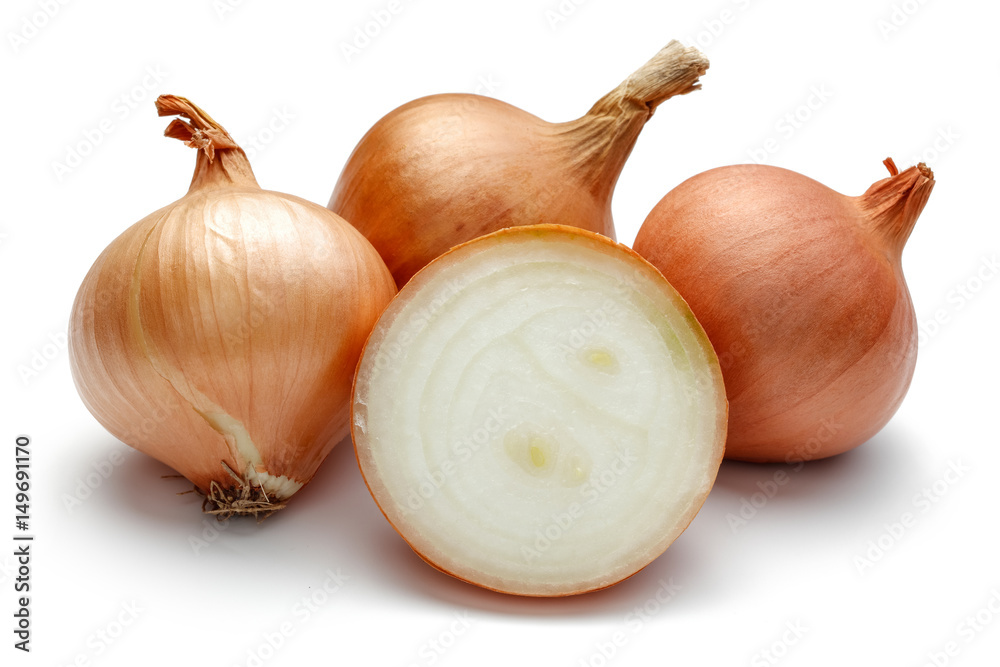 Fototapeta premium Onions