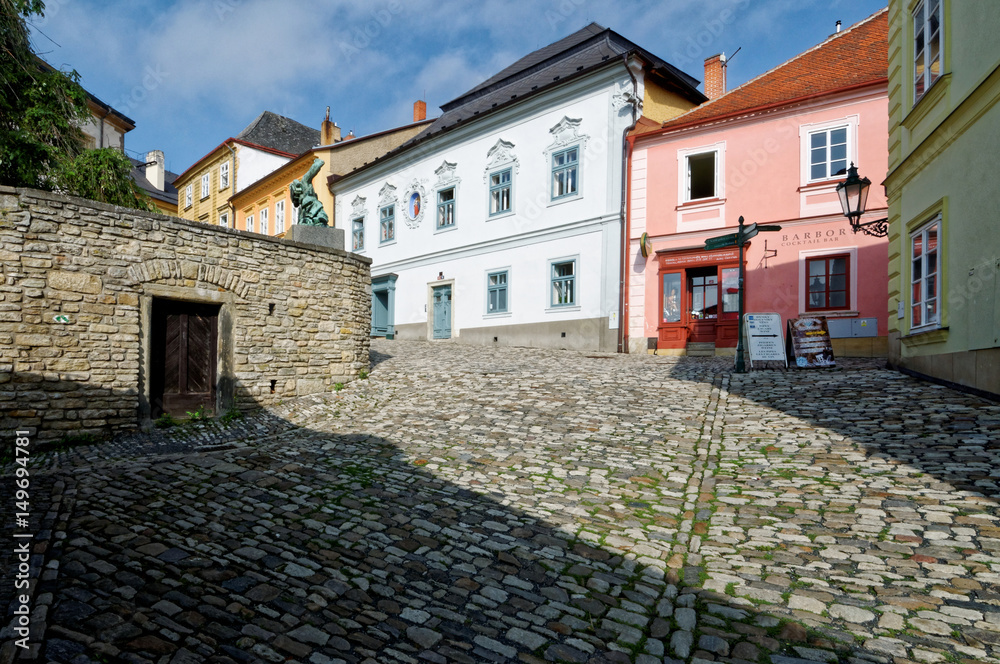 Fototapeta premium Stone pathway for the streets