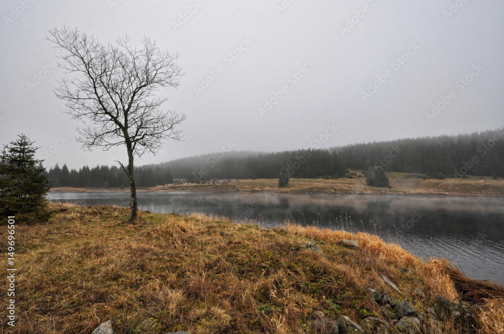 Another show of the river and a deciduous tree Another show of the river and a deciduous tree