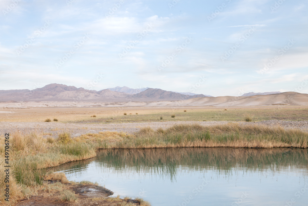view of tecopa hot springs little pond in Mojave desert, Nenada view of tecopa hot springs little pond in Mojave desert, Nenada