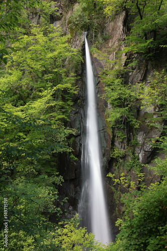 Wasserfall Pevereggia Im Wald  Schweiz