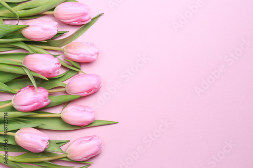 Fototapeta Naklejka Na Ścianę i Meble -  Pink tulips on the pink background. Flat lay, top view.  Valentines background.