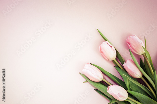 Fototapeta Naklejka Na Ścianę i Meble -  Pink tulips on the pink background. Flat lay, top view.  Valentines background.