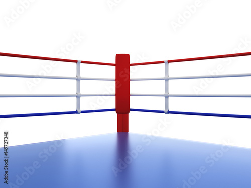 Canvastavla Boxing ring