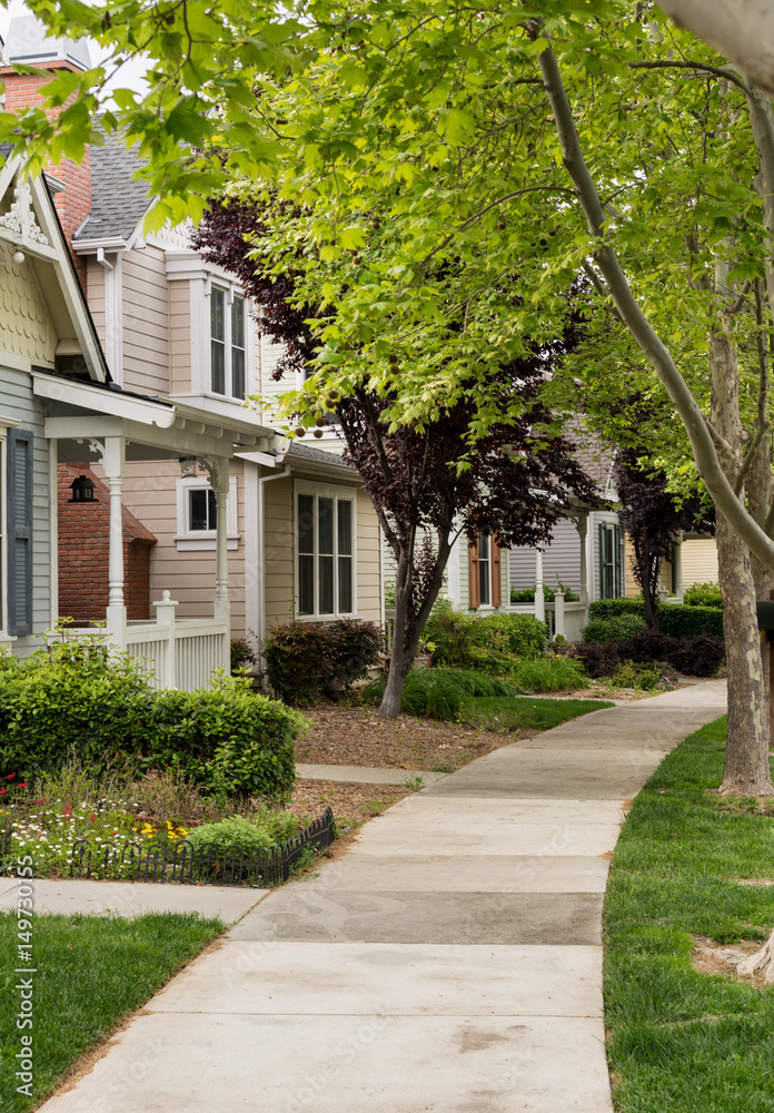 Φωτογραφία Tree lined street in California residential neighborhood