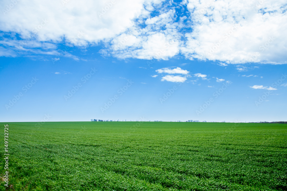 Green grass, a distant prospect, clean air and a beautiful blue sky Green grass, a distant prospect, clean air and a beautiful blue sky