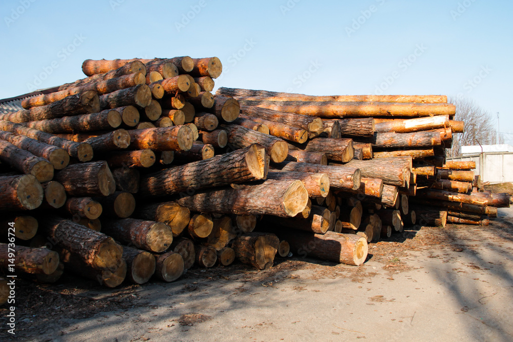 Stack of construction raw timber in sawmill yard Stack of construction raw timber in sawmill yard