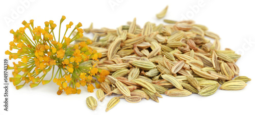 Fennel seeds with flowers