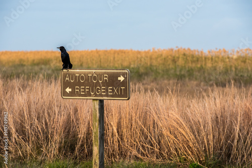 Brazoria County National Wildlife Refuge photo