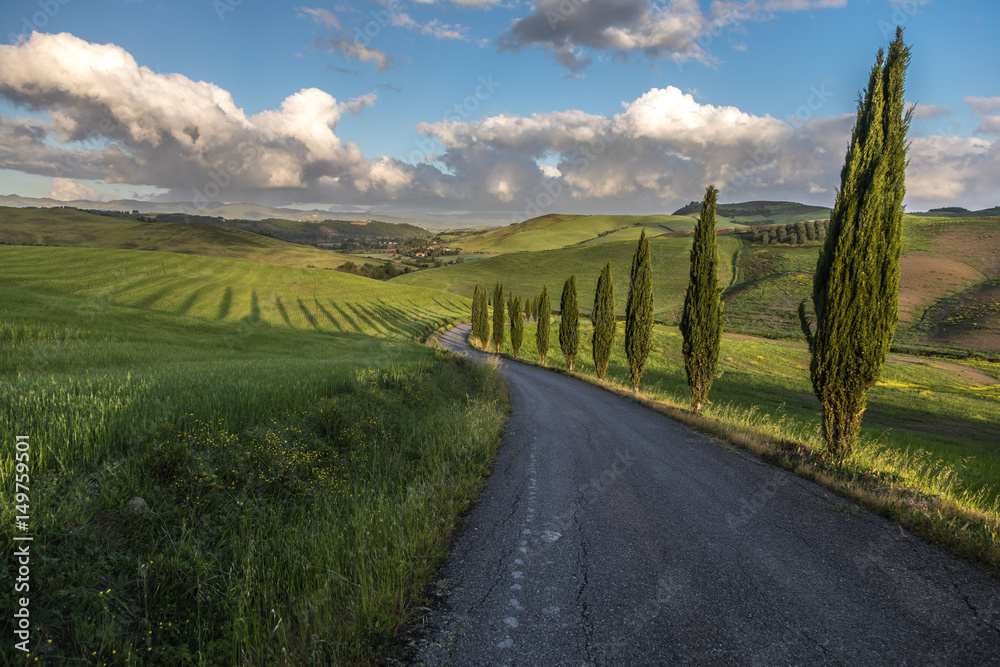 Road in Tuscany