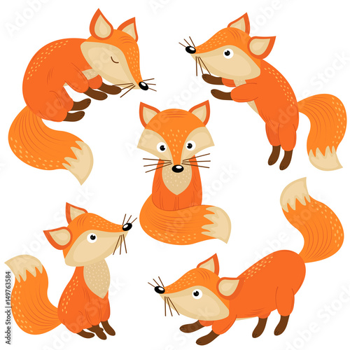 set of isolated cute foxes part 1  - vector illustration, eps

