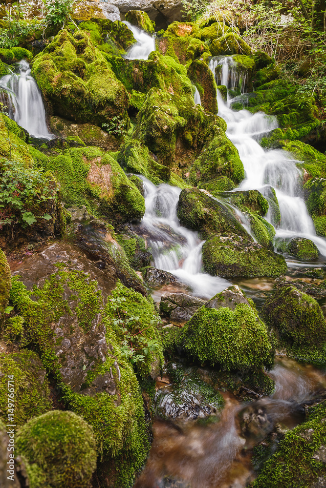 Spring water flows from the mossy rocks, close up Spring water flows from the mossy rocks, close up