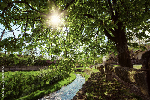 Spring rural landscape with river and green trees. Sun is shining through the branches. Miskolc, Hungary