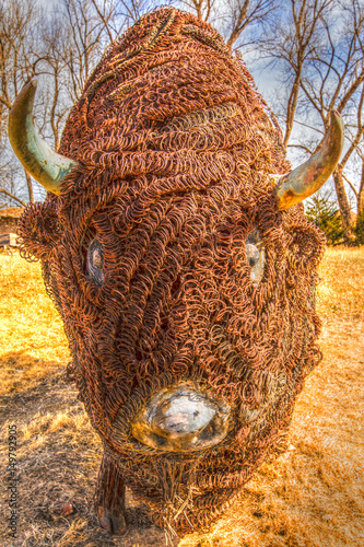 Barbed Wire Bufflalo photo