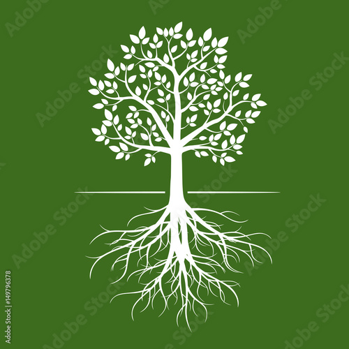 White Trees with roots on green background. Vector Illustration.
