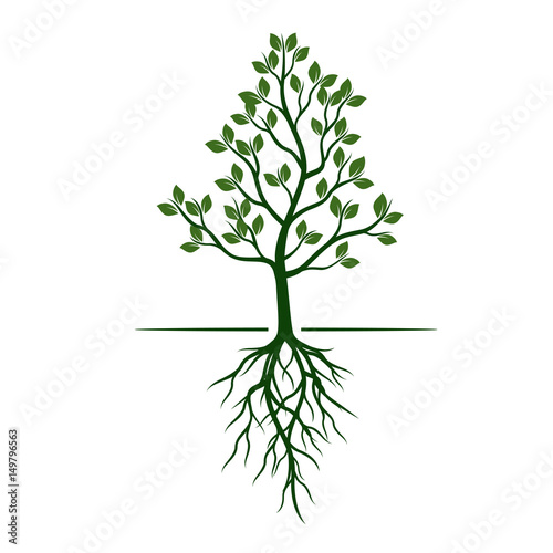 White Trees with roots on green background. Vector Illustration. © topor