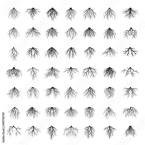 Big set of black roots. Vector Illustration.