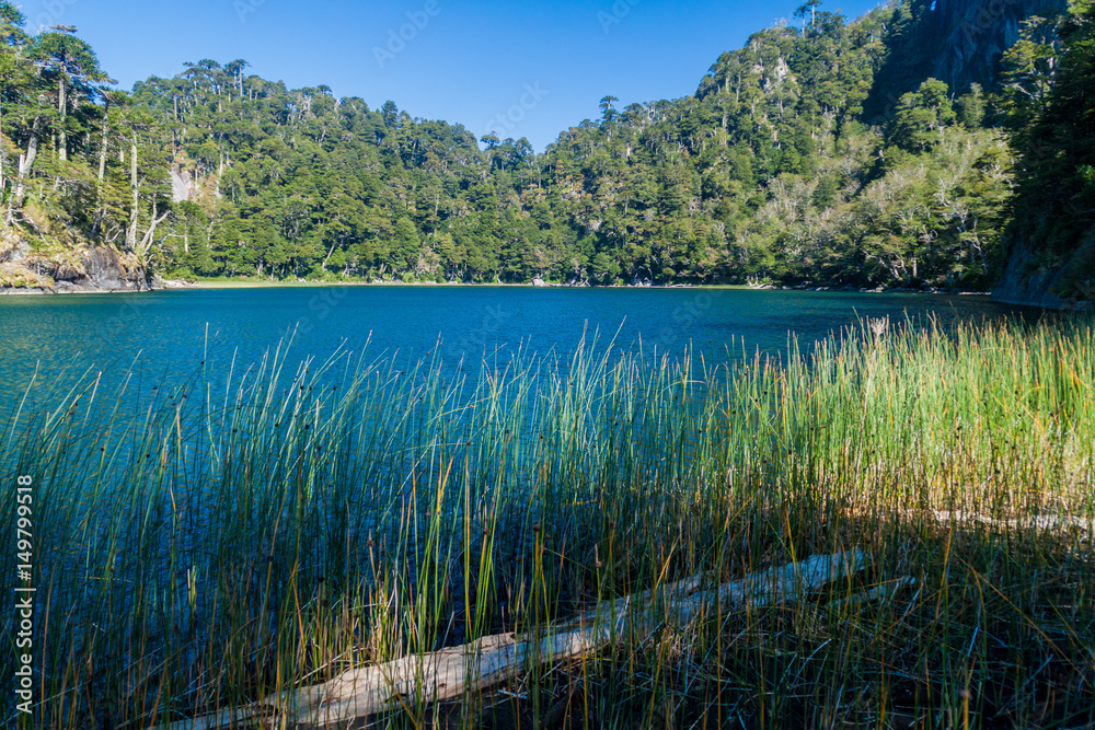 Lago Verde lake in National Park Huerquehue, Chile